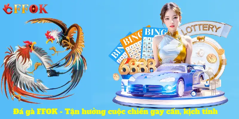 Khái quát về đá gà FFOK